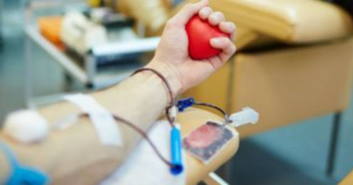 Donating blood at a new time: BRK at Rot-Kreuz-Platz in Kulmbach ready from 2 p.m