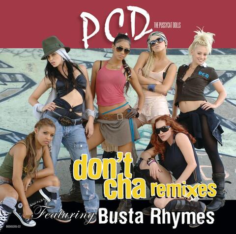 Cover The Pussycat Dolls & Busta Rhymes - Don't Cha
